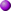 bullet